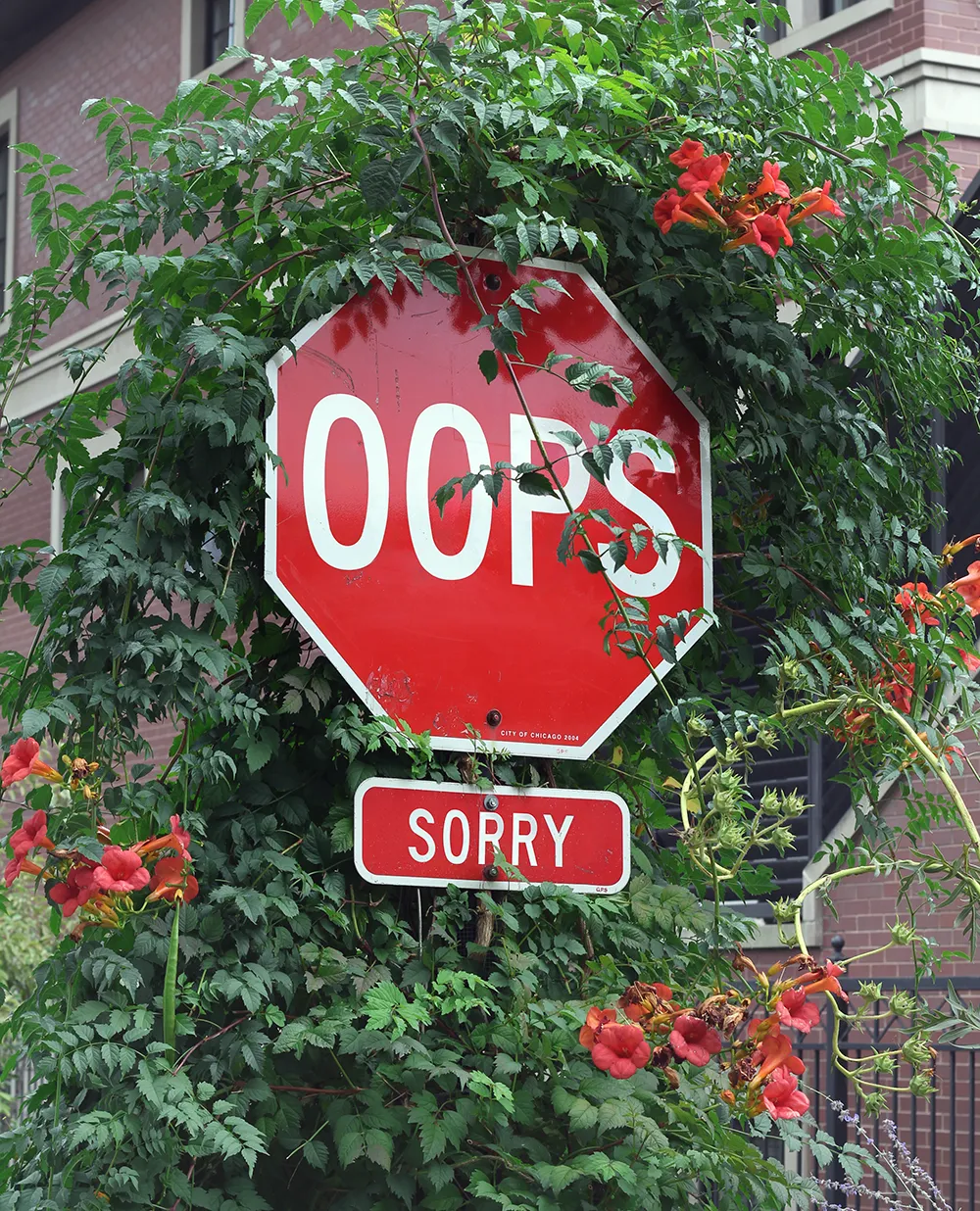 A stop sign overgrown with flowers, edited to say “Oops” instead of Stop and “Sorry” instead of All Way