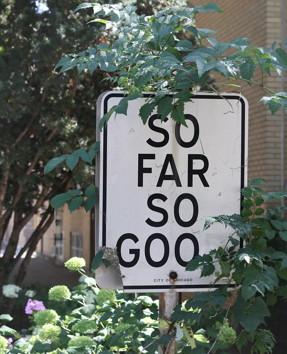 A beaten-up One Way street sign, edited to “So Far So Goo” instead (the final “D” has seemingly been worn away)